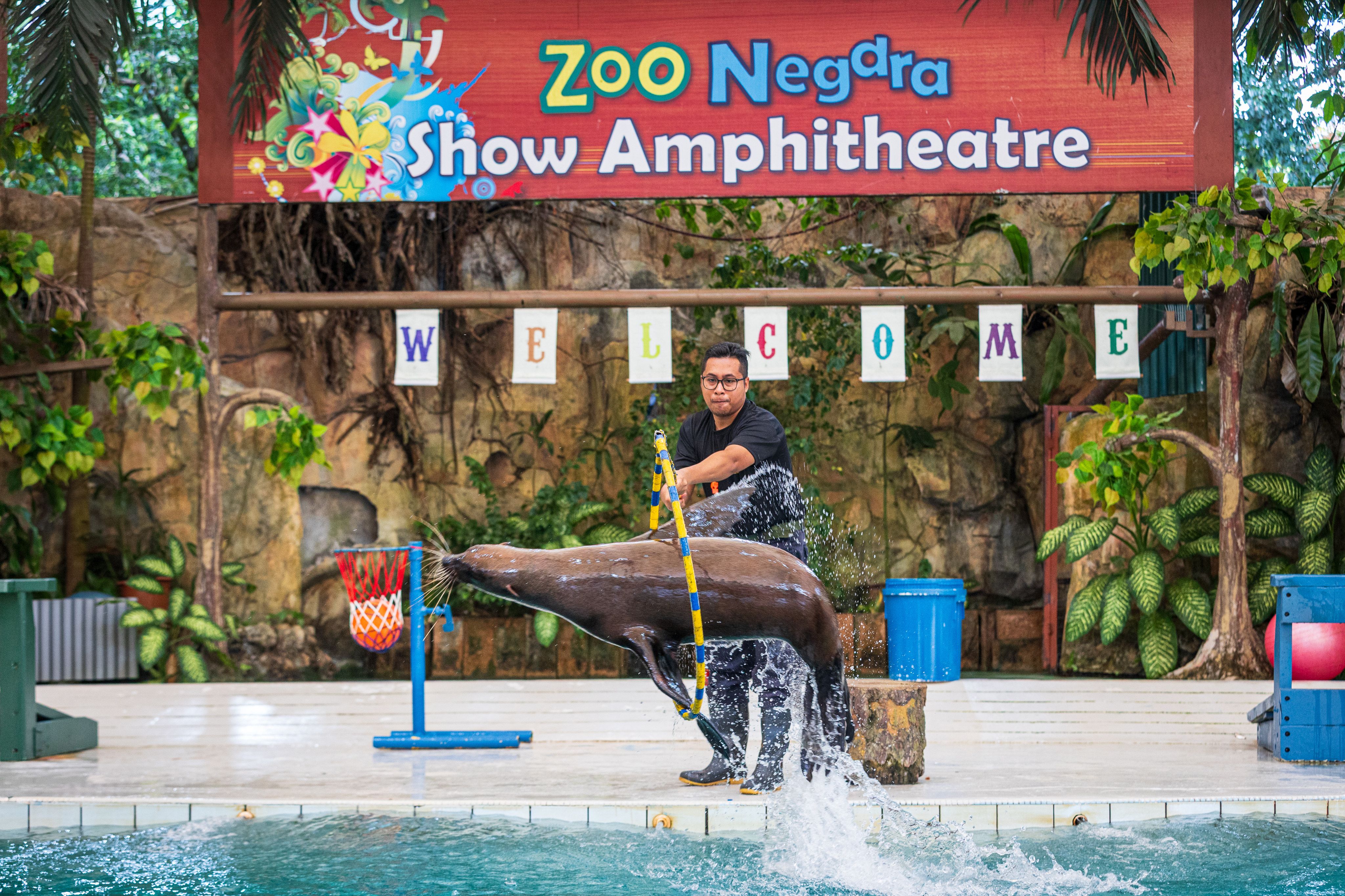 Animal show performance at Zoo Negara