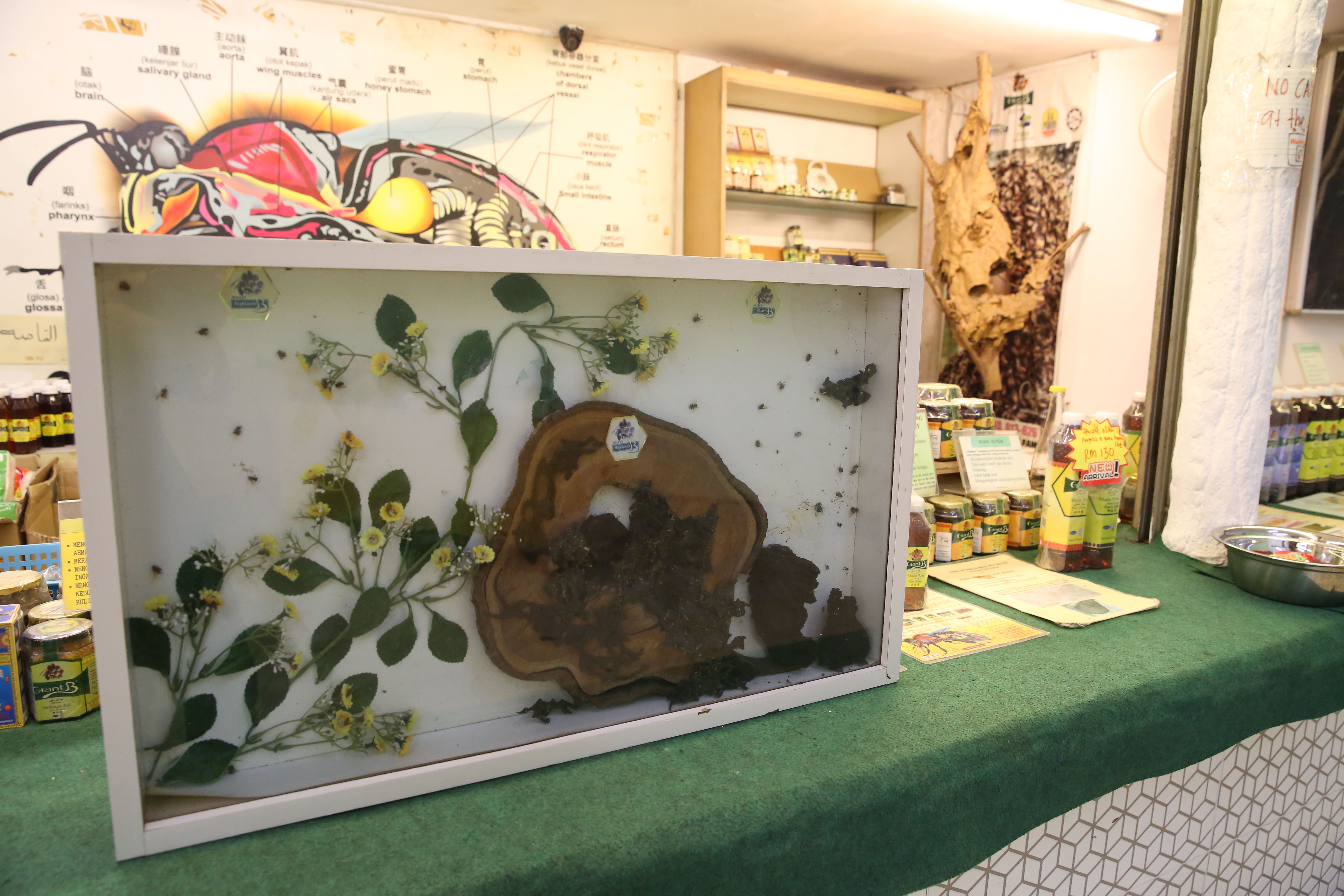 The World Bee Museum at Zoo Negara