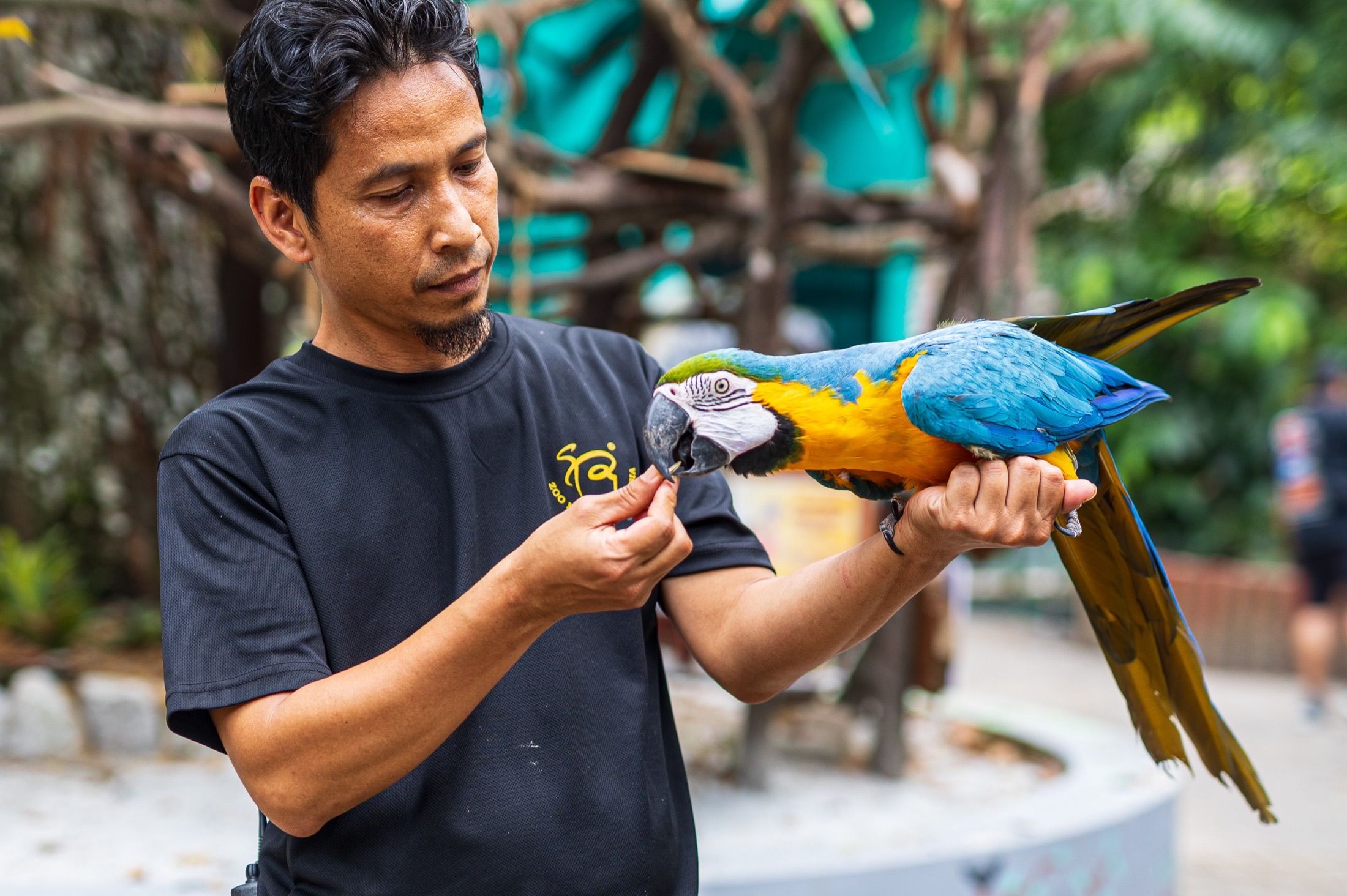 Wildlife care