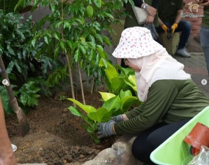 Conservation activities