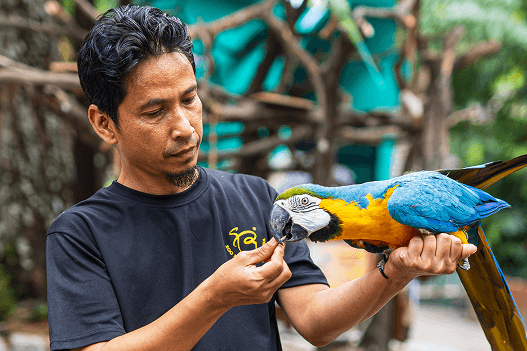 Zoo Camp experience