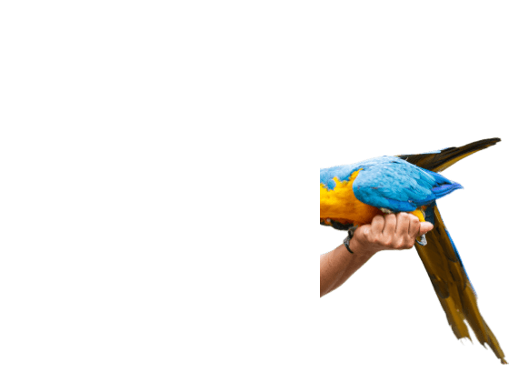 cta-zoo-camp-cutout