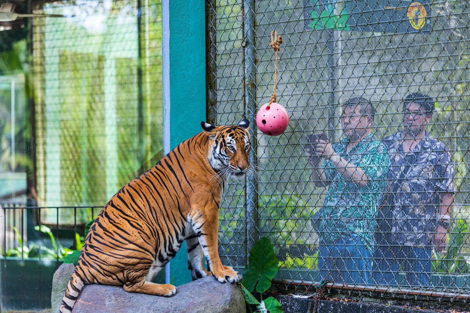 Educational Wildlife Experiences