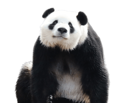 decor-panda-donors