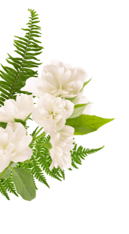 decor-white-flower