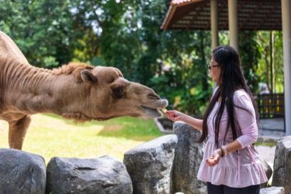 Feeding experience