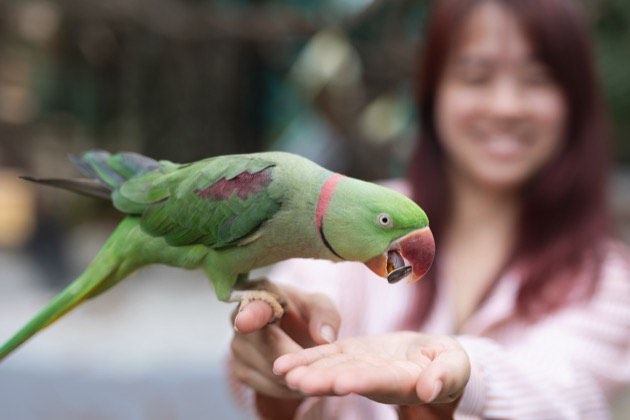 Make the Most of Your Feeding Session