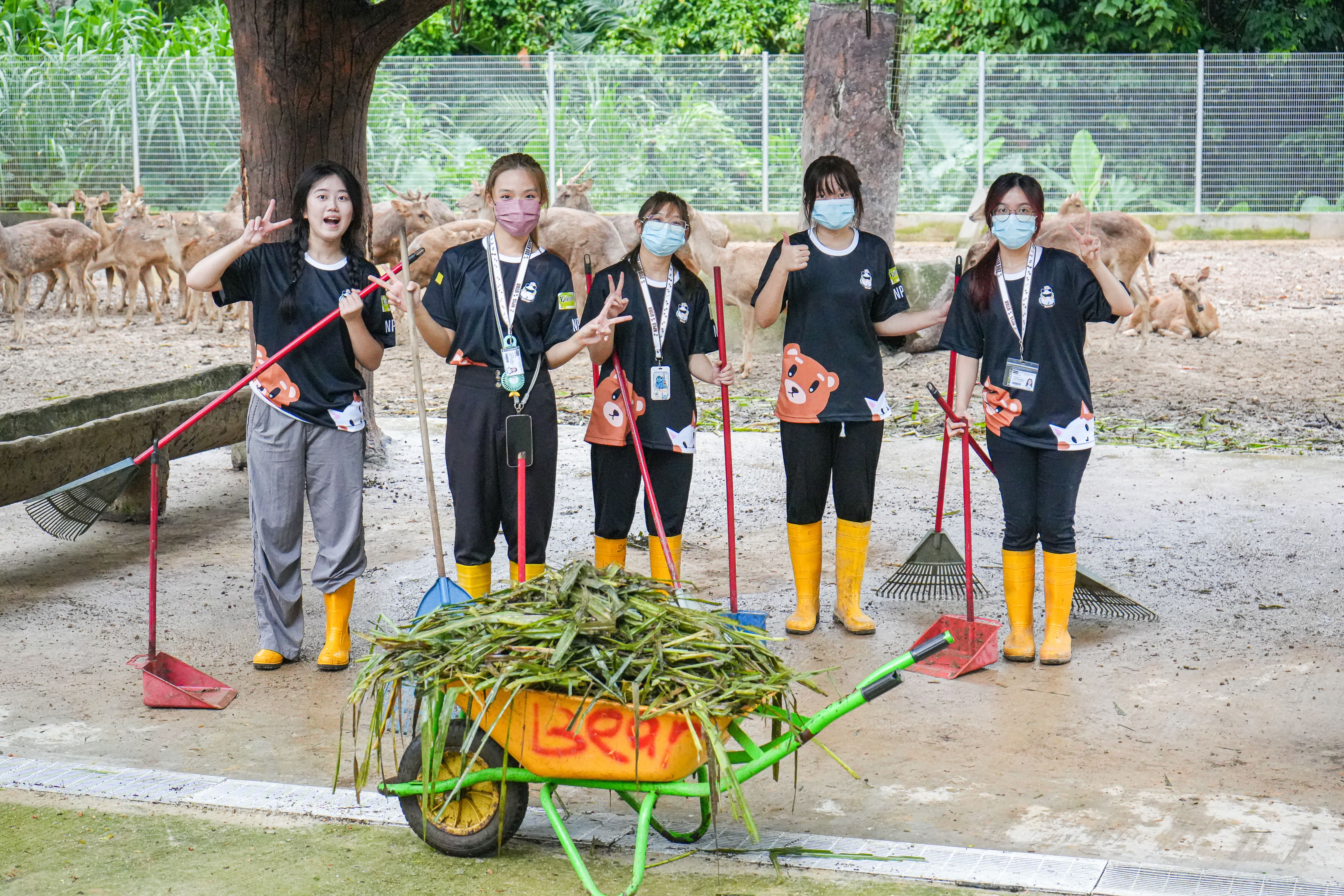 Zoo keeper with animals