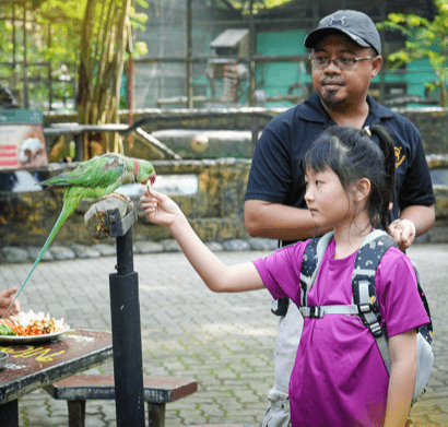 School visit activities
