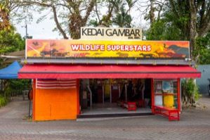 Wildlife Superstars at Zoo Negara
