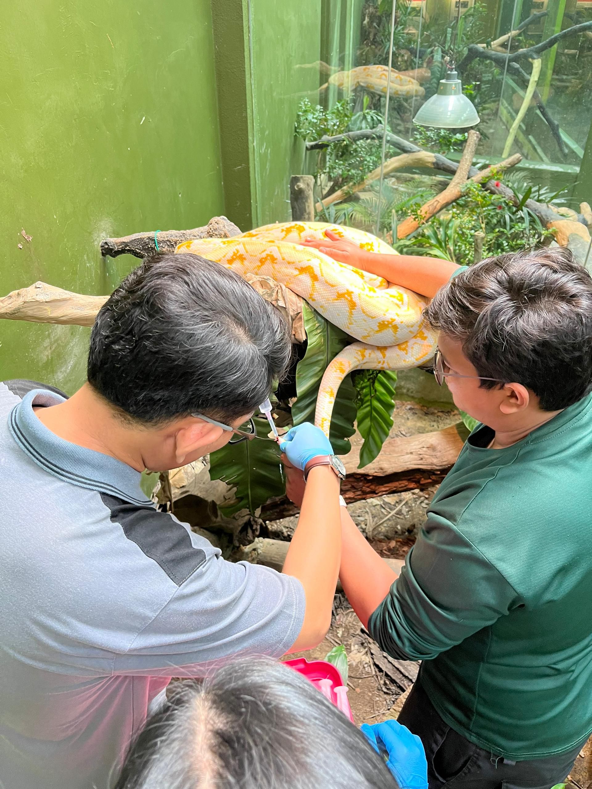 Animal care training